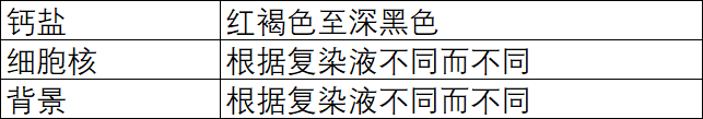 1.png 1.png