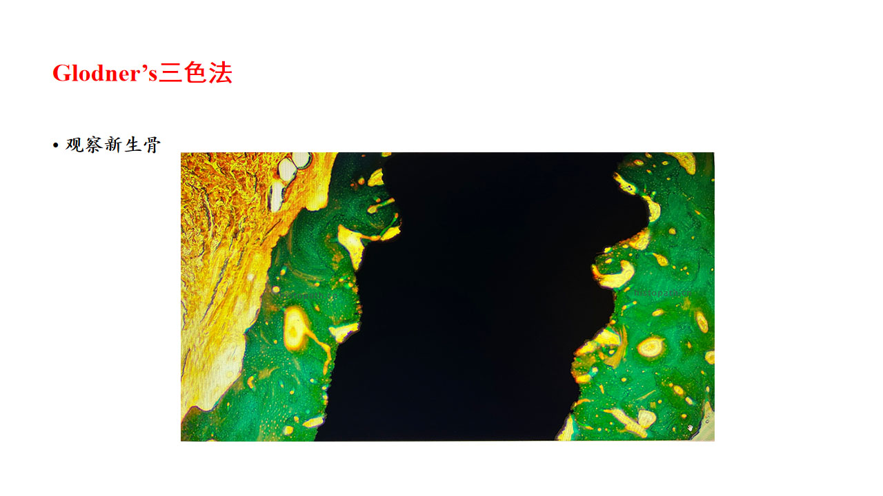 图.jpg