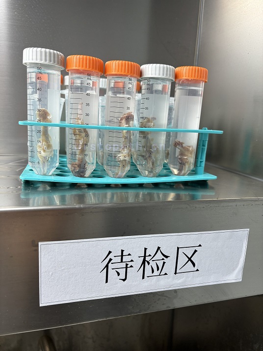 微信图片_20240715142743.jpg